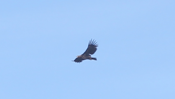 Skjermbilde 2017-05-30 kl. 00.02.21