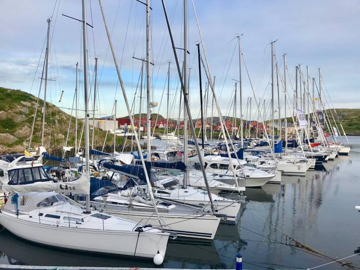 21728725_10155415396851638_1041178094294331235_o