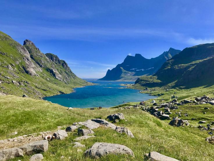 21731568_10155415401116638_7671272342144870278_o