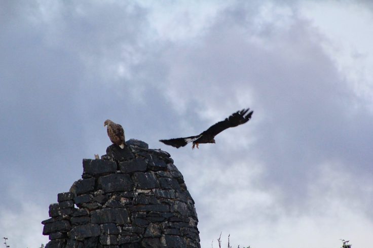 21731810_10155415403031638_1270156158473588182_o