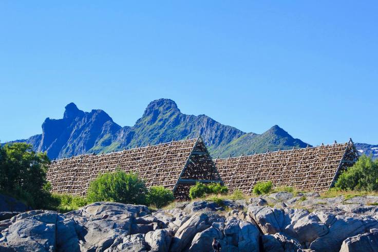 21740710_10155415403666638_8808736560955414716_o