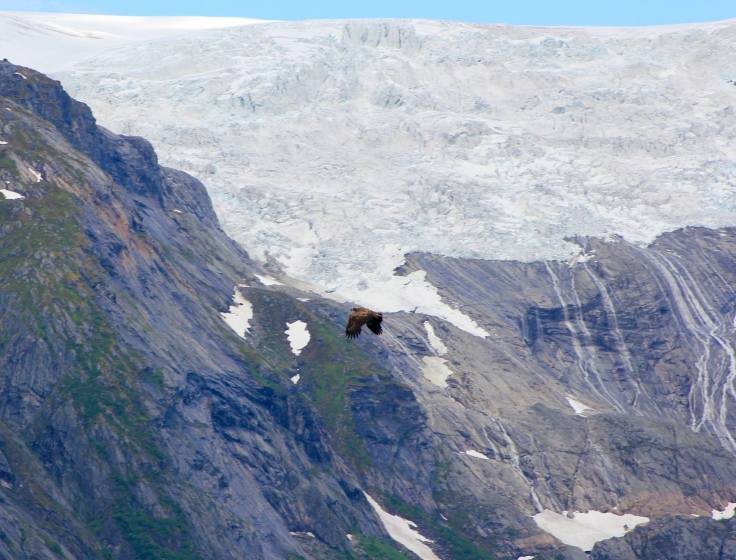 21752736_10155415403291638_3358232485544609982_o